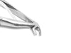 Klein Pattern Tooth Extraction Forceps (Set of 7)