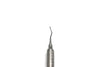 Gracey curette 11/12